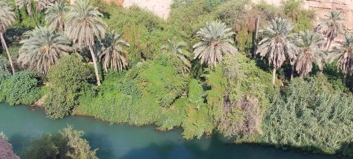 عکس پل علامه شیخ شوشتری