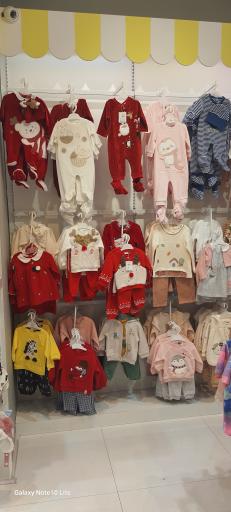 عکس سیسمونی ایندیگو