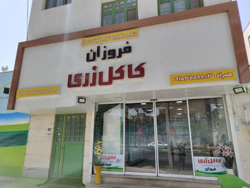 عکس تولید گوشت مرغ فروزان کاکل زری