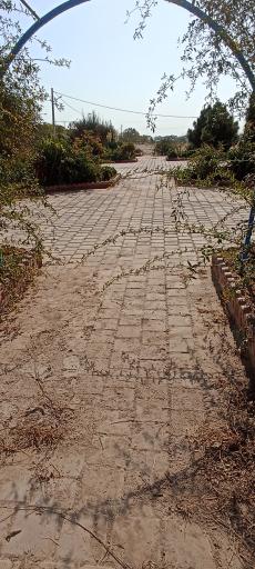 عکس دانشکده کشاورزی پسران نیشابور (جدید)