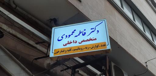 عکس دکتر فاطمه محمودی، متخصص داخلی