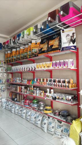 عکس پت شاپ پر طلایی (شعبه ۳)