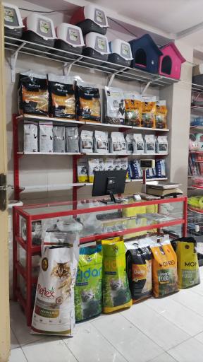 عکس پت شاپ پر طلایی (شعبه ۳)