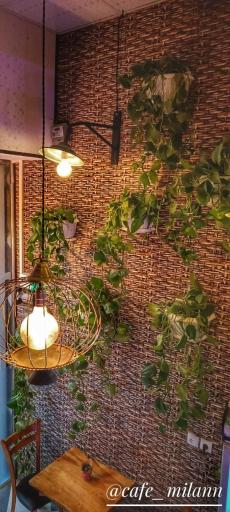 عکس کافه میلان