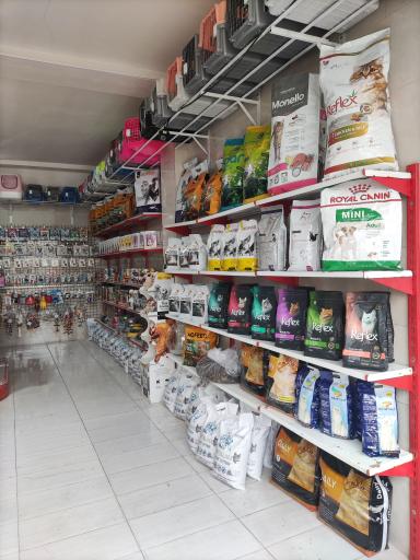 عکس پت شاپ پر طلایی (شعبه ۳)