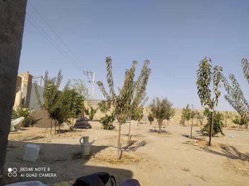 مزرعه پامیر 
