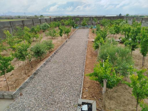 عکس مزرعه پامیر 