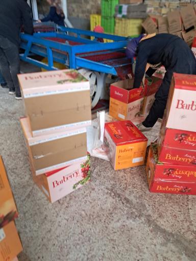 عکس زرشک و زعفران گنج باران