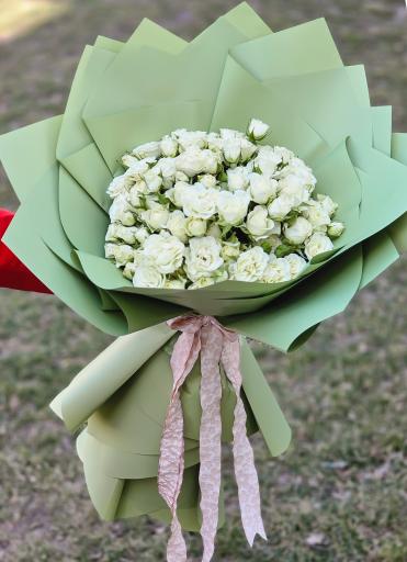 عکس گل آسِنترا