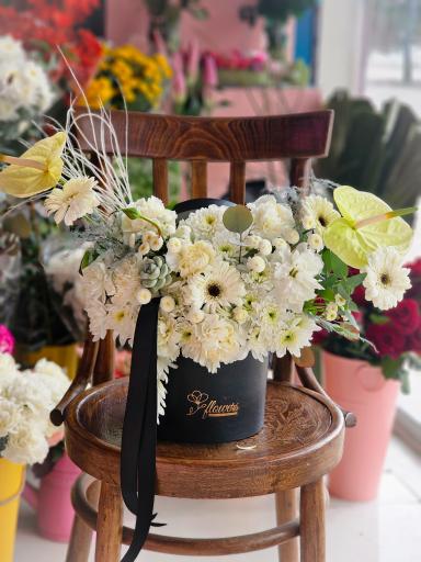 عکس گل آسِنترا