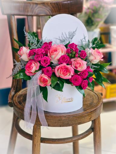 عکس گل آسِنترا