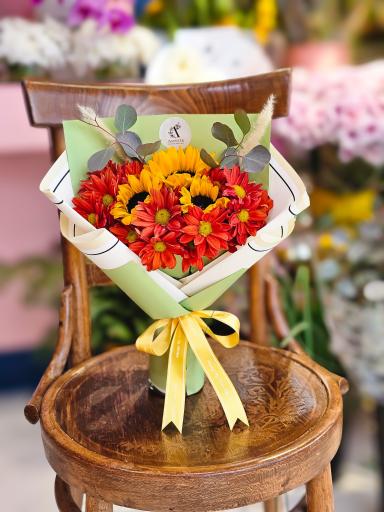 عکس گل آسِنترا