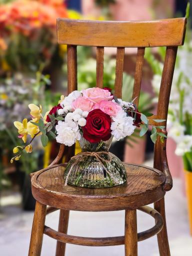 عکس گل آسِنترا