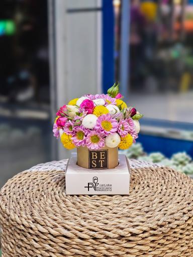 عکس گل آسِنترا