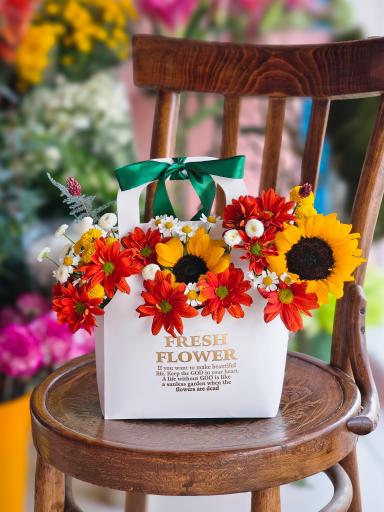 عکس گل آسِنترا