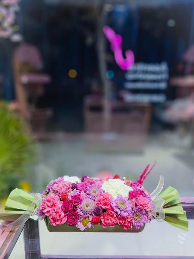 عکس گل آسِنترا