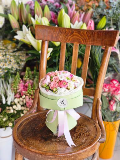 عکس گل آسِنترا