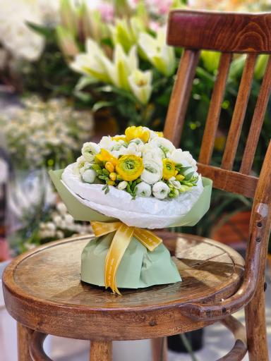 عکس گل آسِنترا