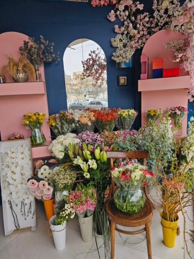 عکس گل آسِنترا