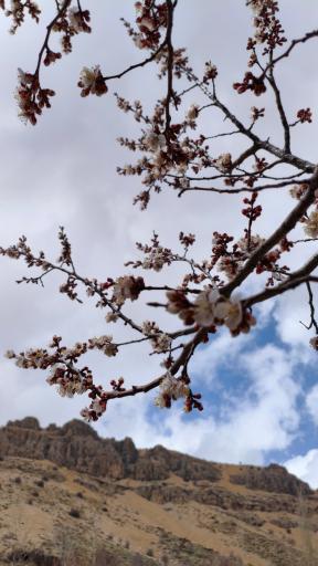 عکس تفرجگاه چله گاه سپیدان
