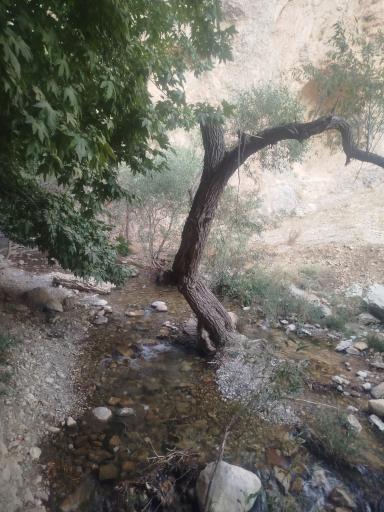 عکس تفرجگاه چله گاه سپیدان
