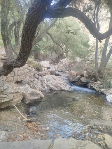 عکس تفرجگاه چله گاه سپیدان