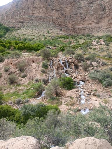 عکس ایج
