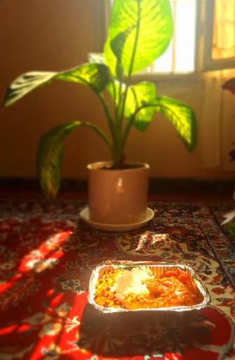 عکس غذا های خانگی موجان