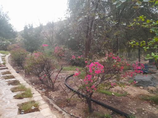 عکس گورستان صخره‌ای سیراف