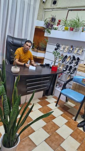 عکس کفش دانا 