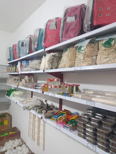 عکس استار پت شاپ 