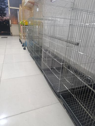 عکس استار پت شاپ 