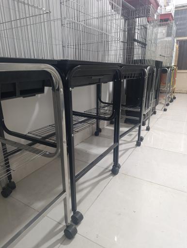 عکس استار پت شاپ 