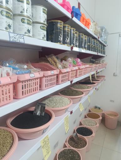 عکس استار پت شاپ 