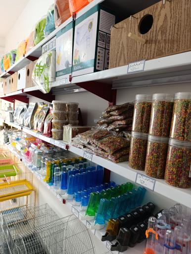 عکس استار پت شاپ 