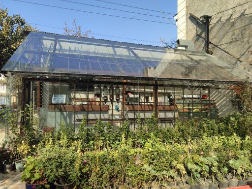 عکس آبمیوه بستنی و کافه گل رز