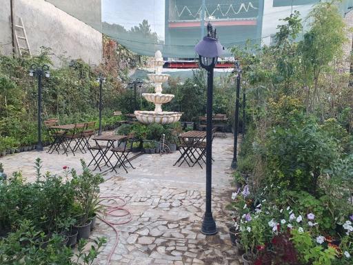 عکس آبمیوه بستنی و کافه گل رز