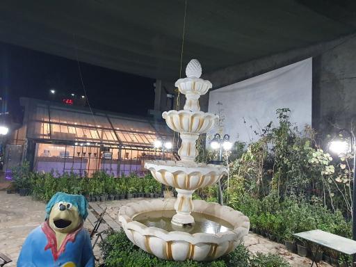 عکس آبمیوه بستنی و کافه گل رز