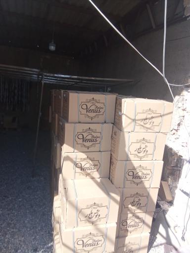 عکس رنگ پودری الکترواستاتیک علی
