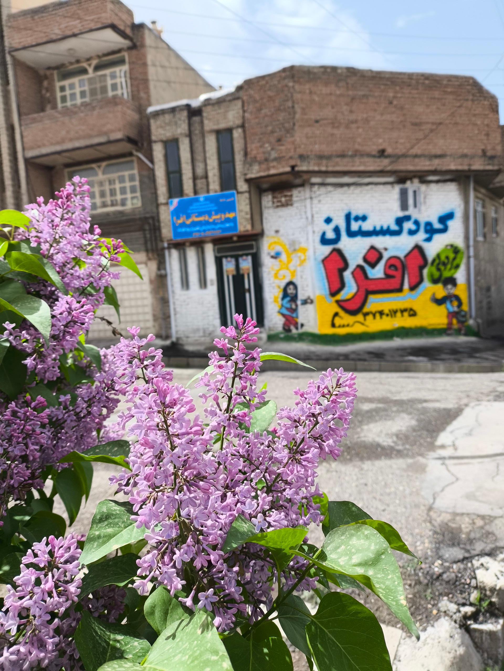 عکس کودکستان افرا