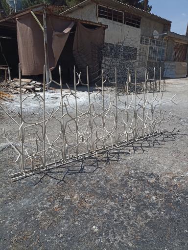 عکس تولیدی شاخ گوزنی  اقاخانی