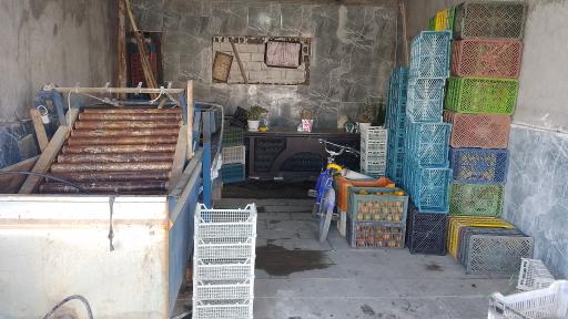 عکس سورتینگ و خرید و فروش محصولات کشاورزی علی هاشم زاده