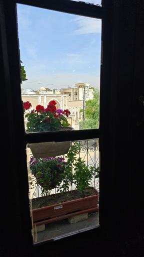 عکس کافه رستوران لوتوس