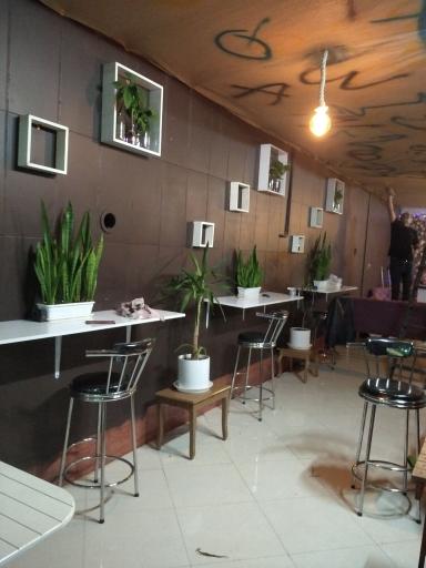 عکس قهوه پدری