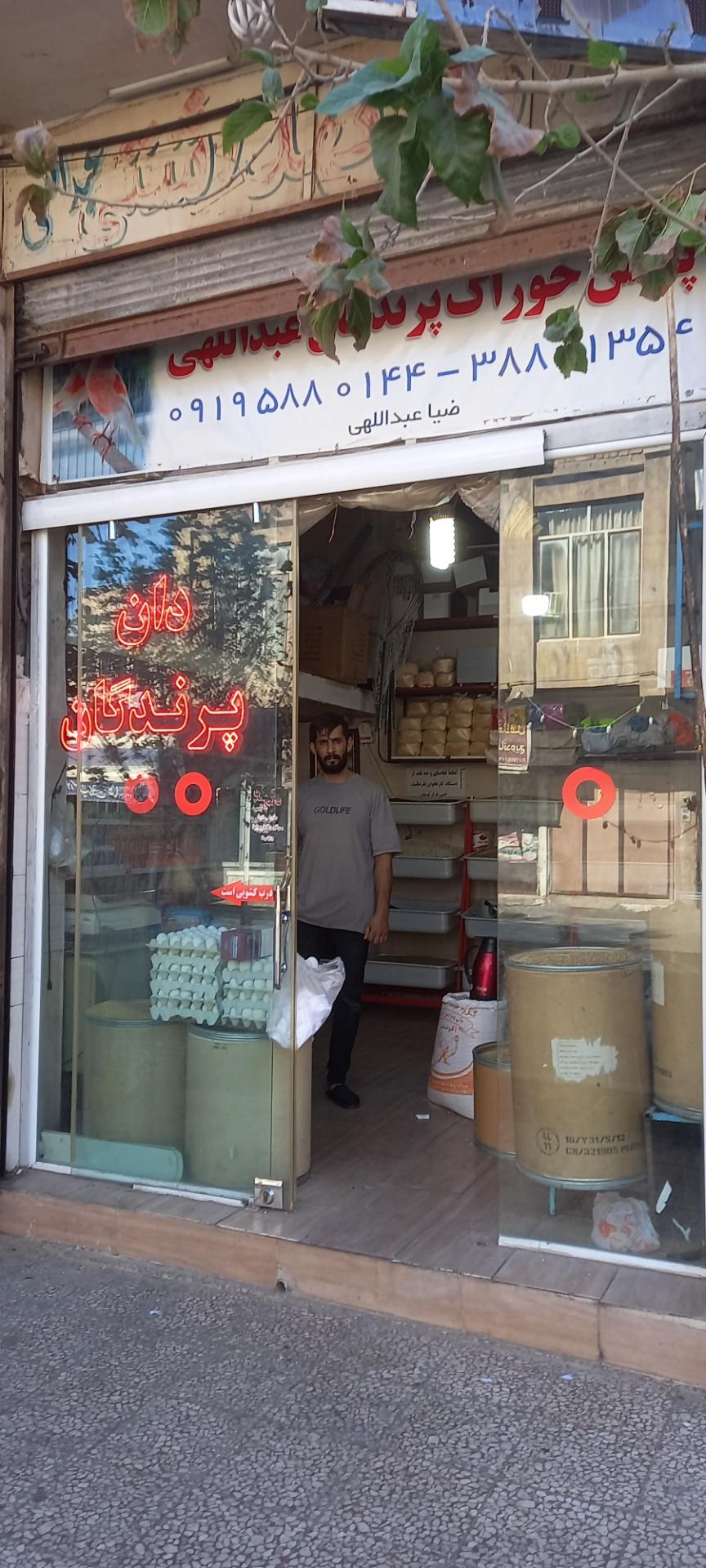 عکس دان پرندگان عبدالهی