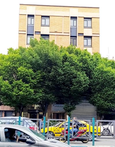 عکس شرکت پالیز افزار