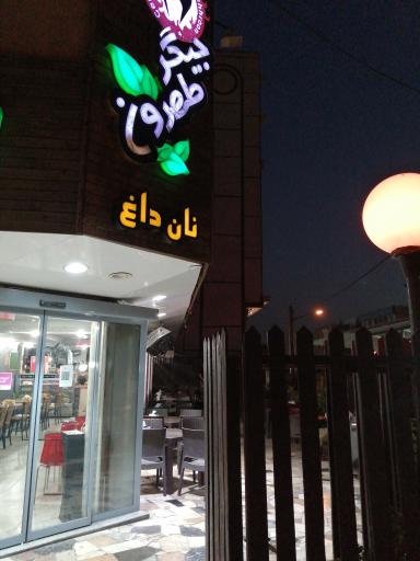 عکس جیگر طهرون