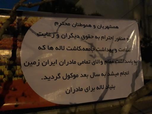 عکس بوستان لاله مادران - پیاده رو مادران