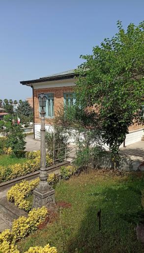 عکس کاخ چایخوران