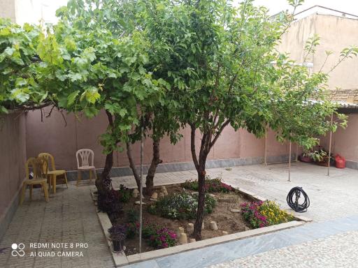 آموزشگاه موسیقی نیواک